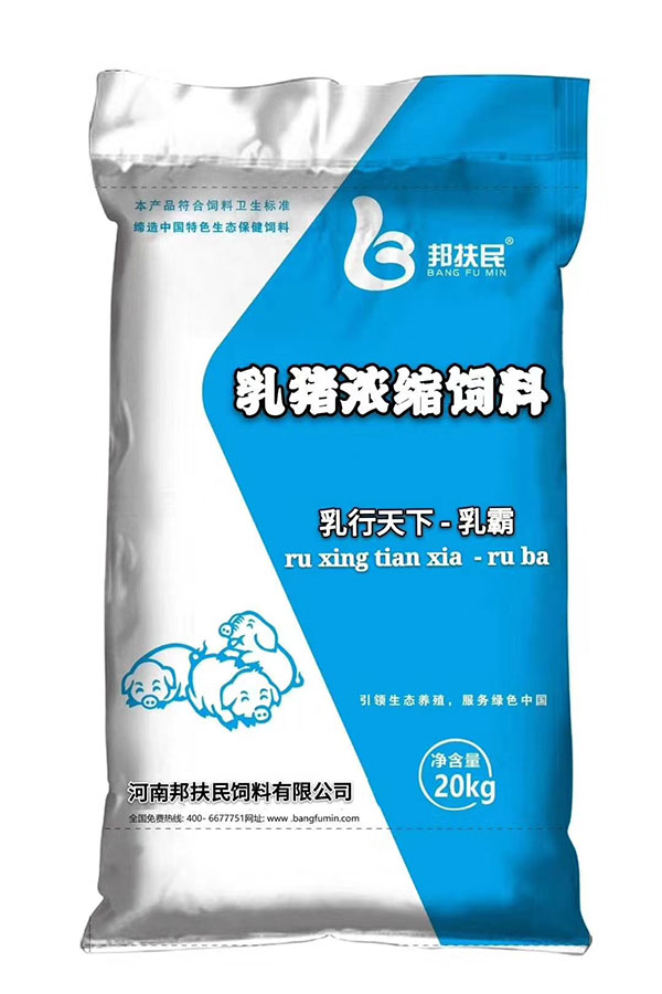 乳猪黄瓜视频APP在线下载